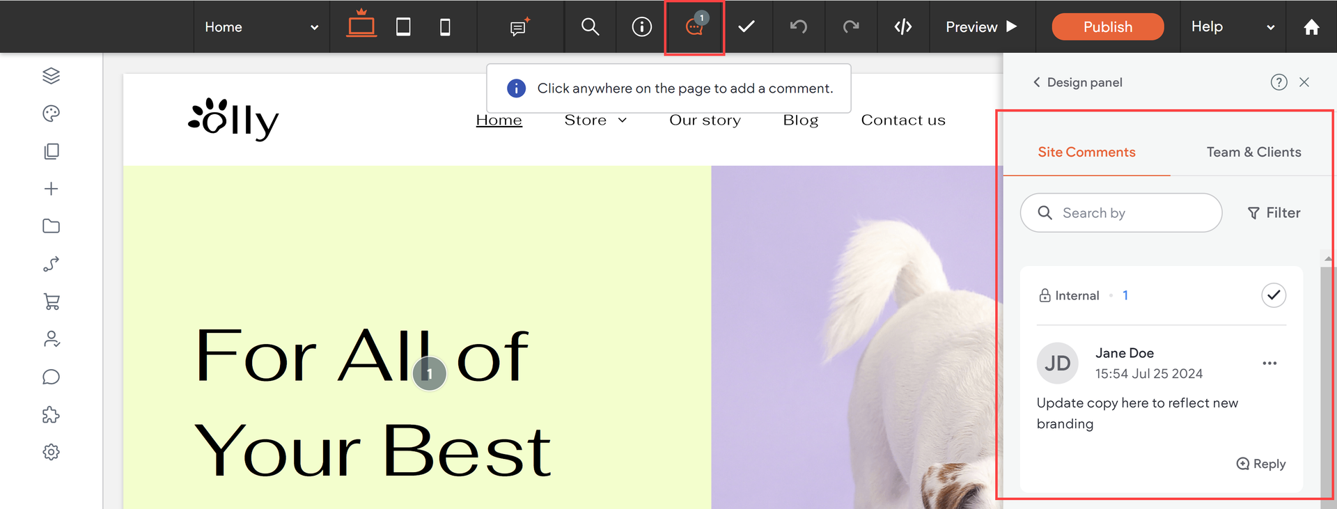 Screenshot of a document editor interface, with a text box for comments and existing comment thread.