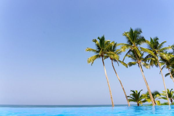 There are palm trees in the foreground and a swimming pool in the background.
