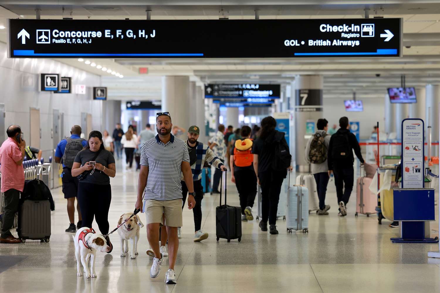 A group of people are walking their dogs through an airport.