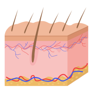 hair tissue mineral analysis graphic