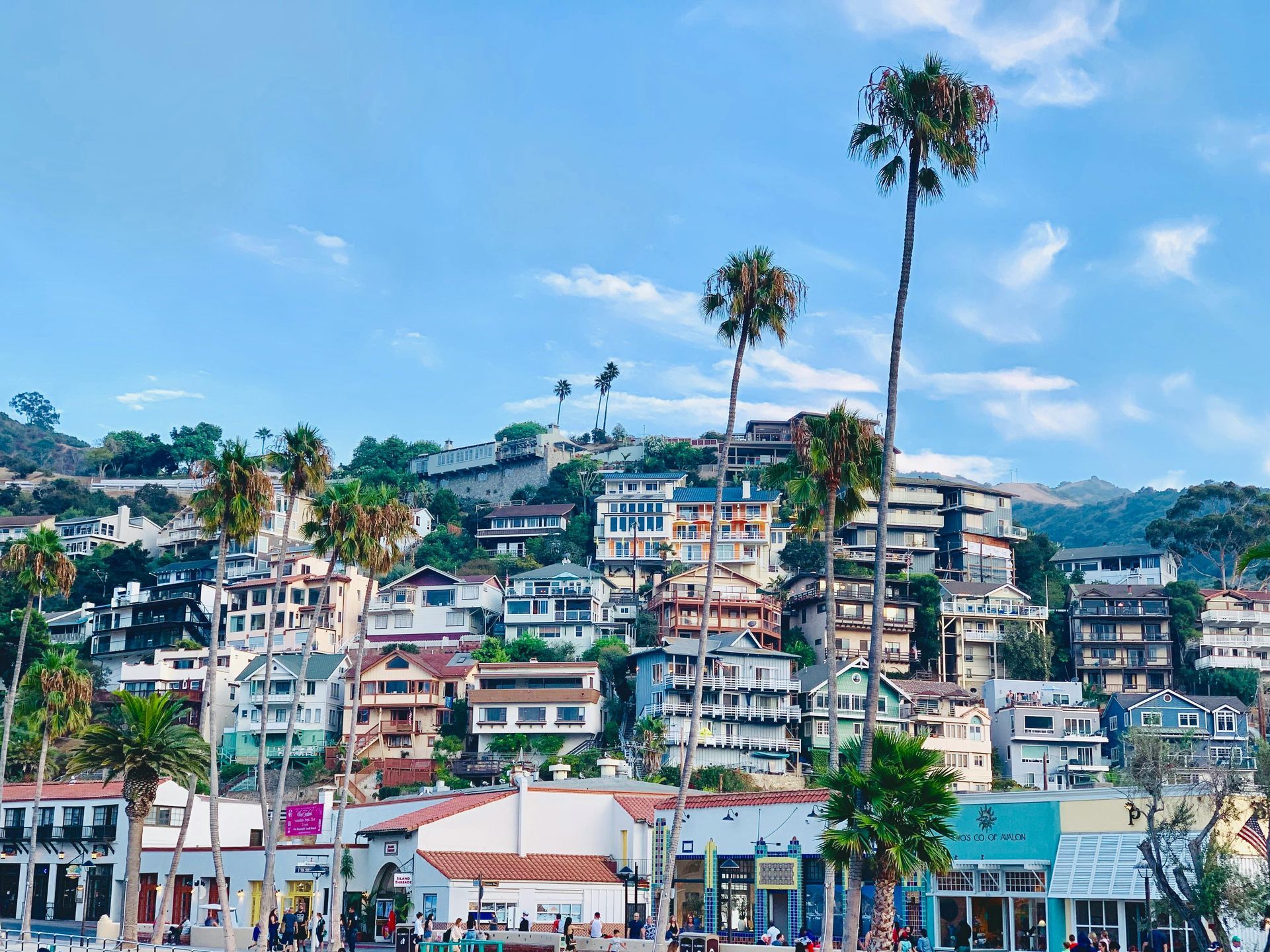 A vibrant coastal town with colorful houses built on a hillside, surrounded by tall palm trees. Below, there are shops and restaurants along the waterfront, set against a backdrop of clear blue skies and gently rolling hills.