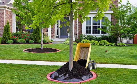 Landscape Ideas To Help Improve The, Is It Good To Put Mulch Around Your House