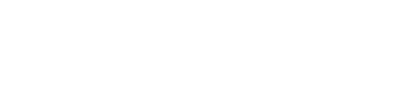 Premier Real Estate Services Logo