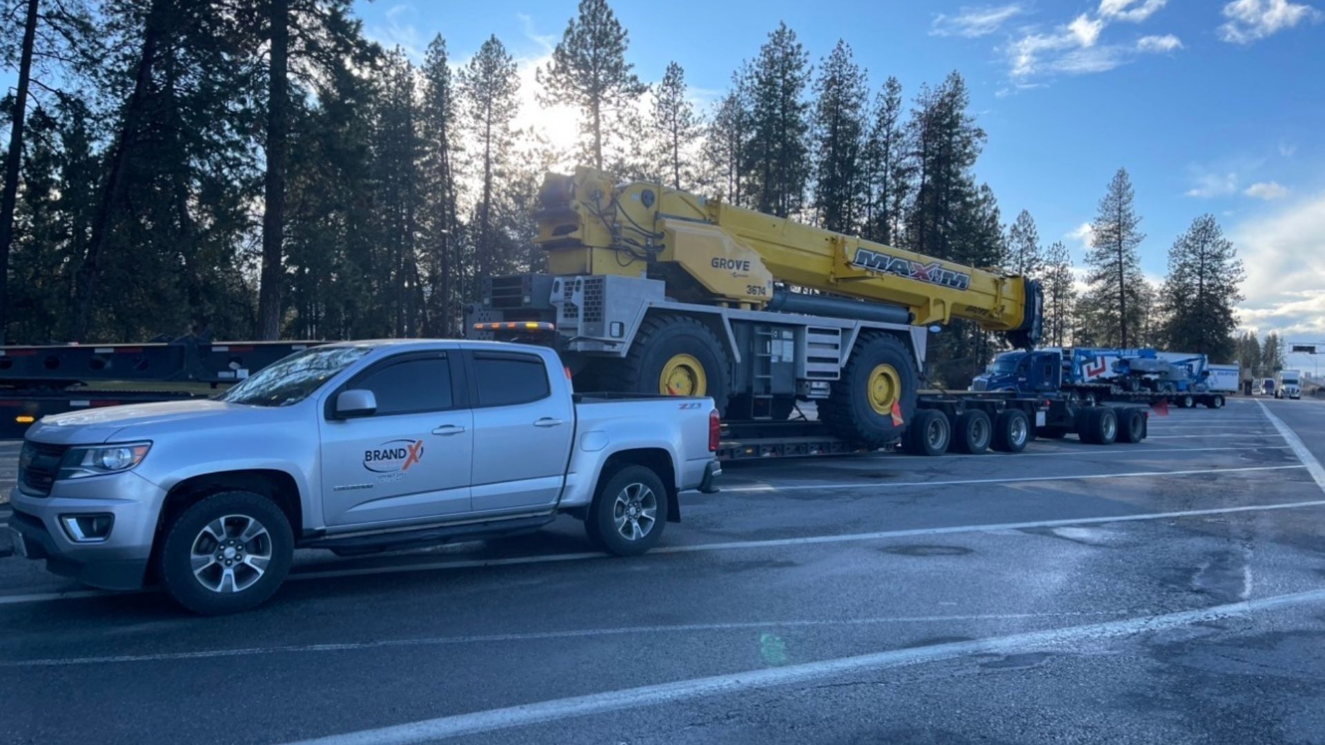 Two cars driving on a road lined with greenery and yellow flowers.