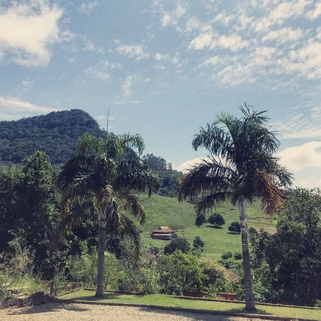 Uma paisagem com palmeiras e montanhas ao fundo: Hotel Bergozza