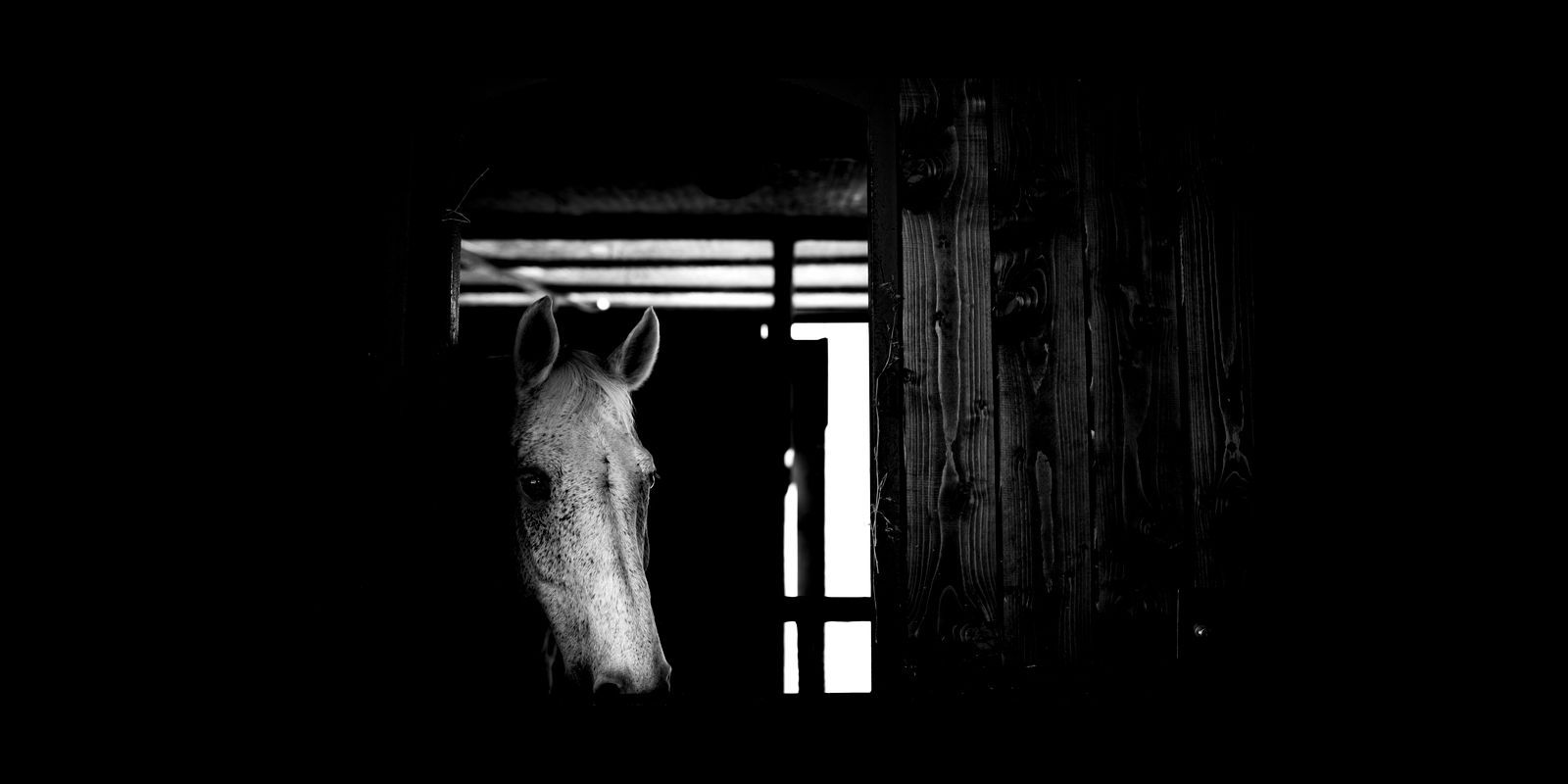 Racconti visivi di strada e quotidianità. Fotografia che osserva, ascolta e restituisce emozioni vere.