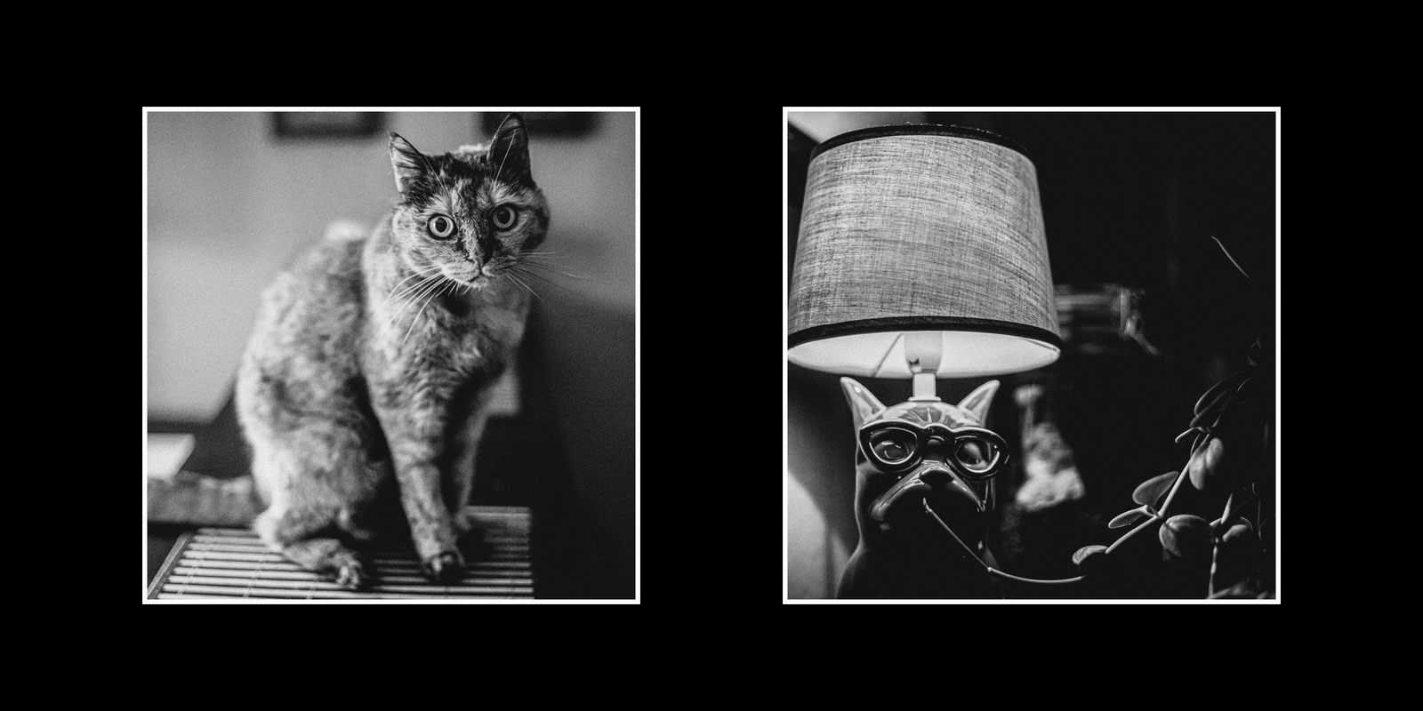 Reportage autentico per matrimoni intimi ed elopement. Fotografia naturale, discreta e senza pose.