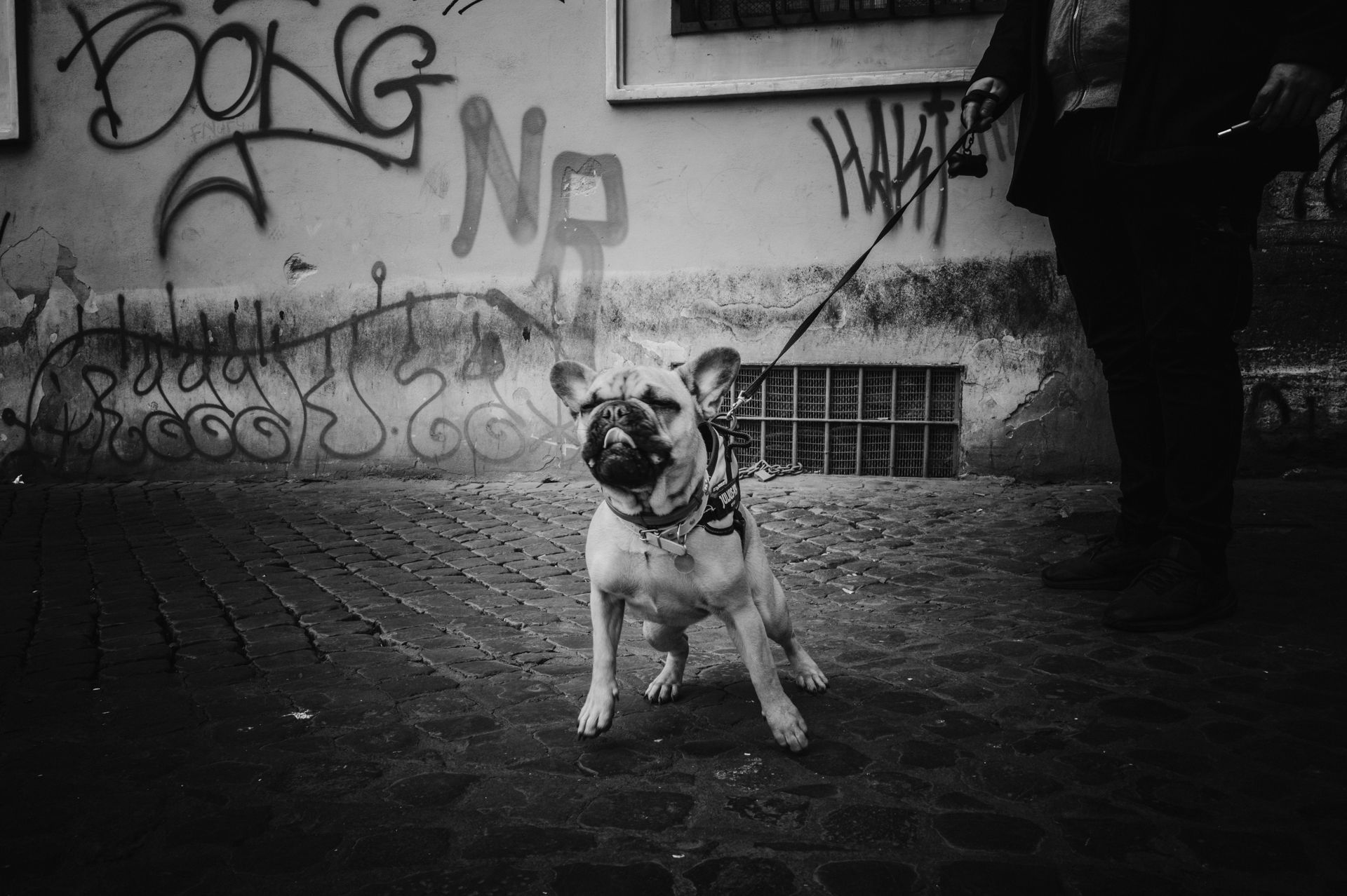 Racconti visivi di strada e quotidianità. Fotografia che osserva, ascolta e restituisce emozioni vere.