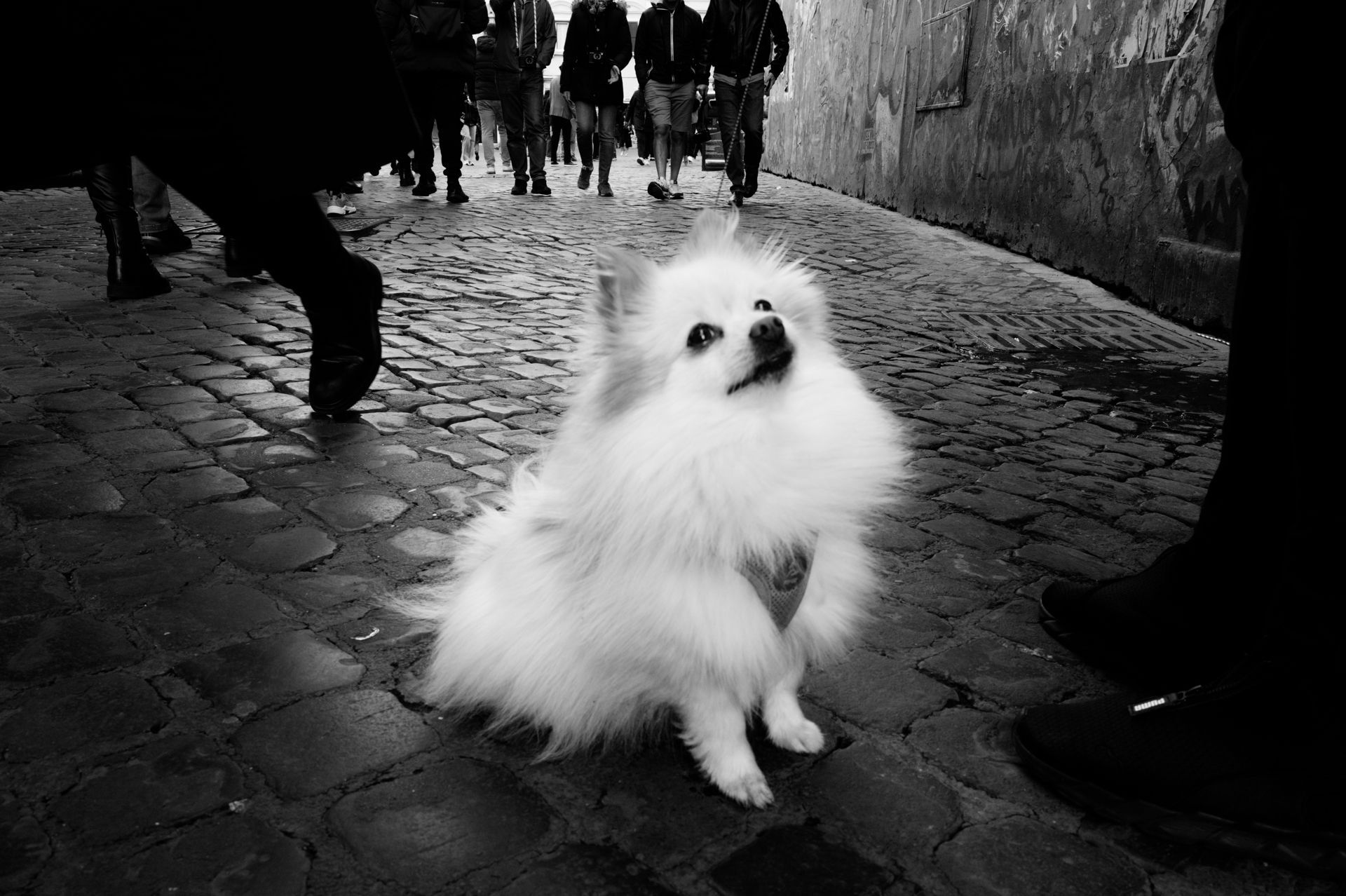 Racconti visivi di strada e quotidianità. Fotografia che osserva, ascolta e restituisce emozioni vere.