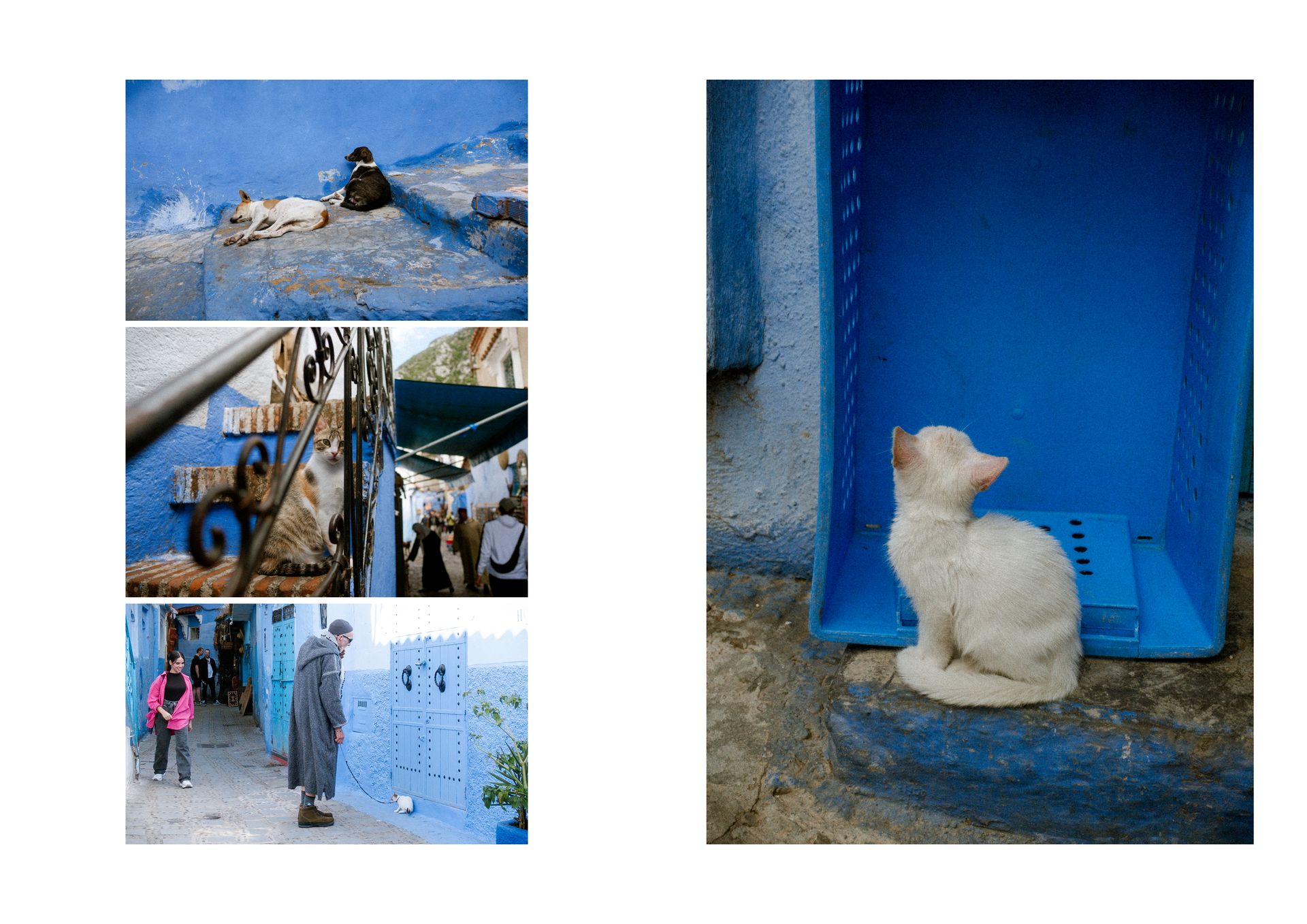 Racconti visivi di strada e quotidianità in Marocco. Fotografia che osserva, ascolta e restituisce emozioni vere.