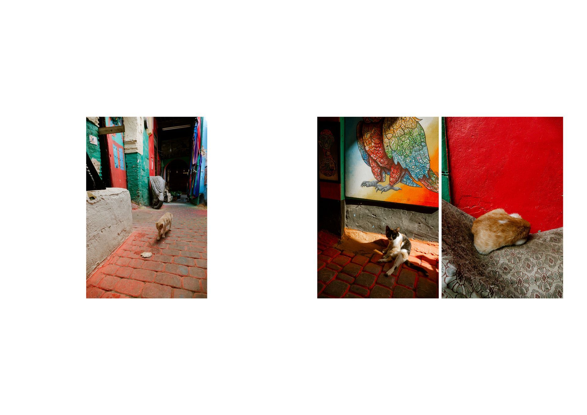 Racconti visivi di strada e quotidianità in Marocco. Fotografia che osserva, ascolta e restituisce emozioni vere.