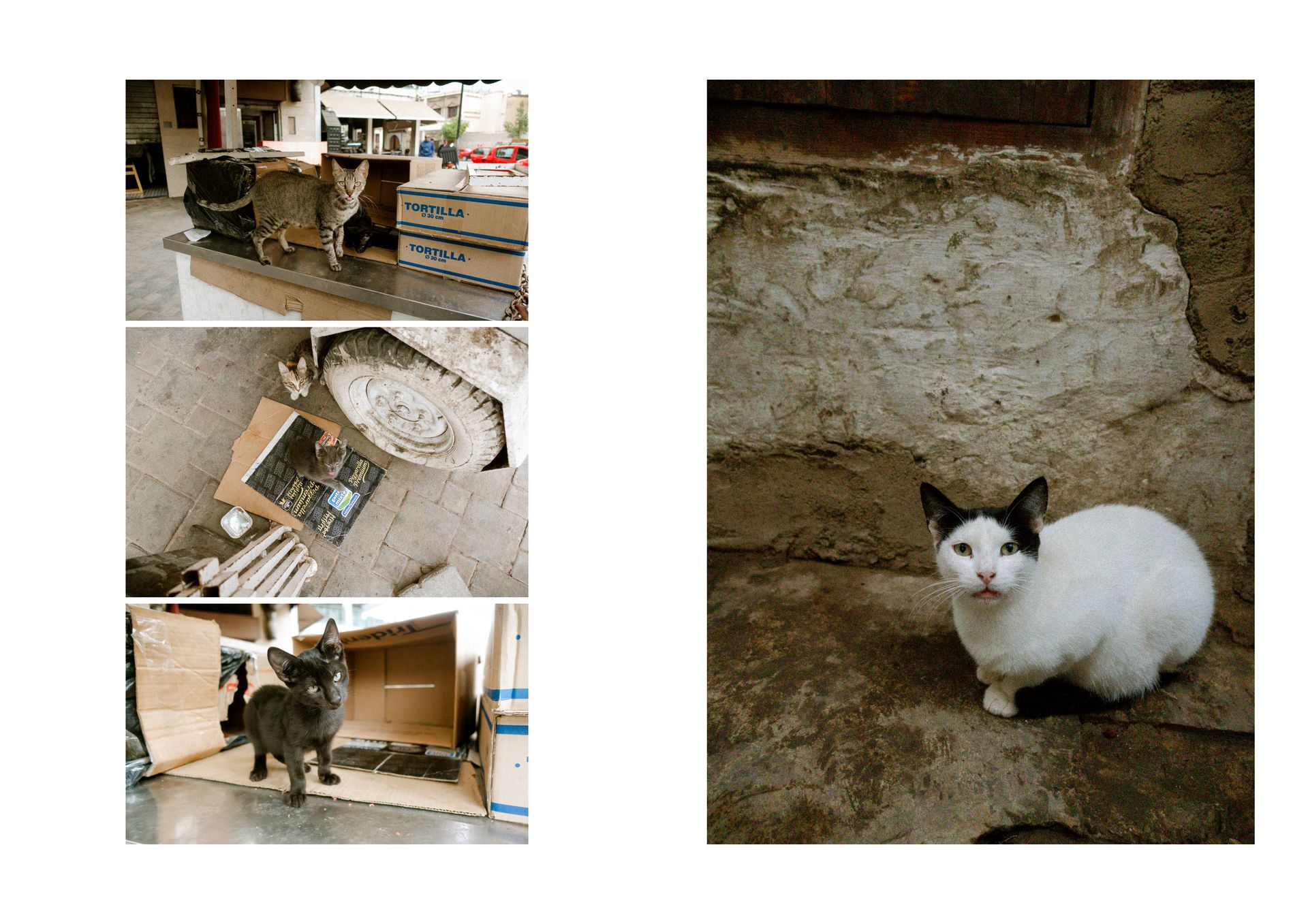 Racconti visivi di strada e quotidianità in Marocco. Fotografia che osserva, ascolta e restituisce emozioni vere.