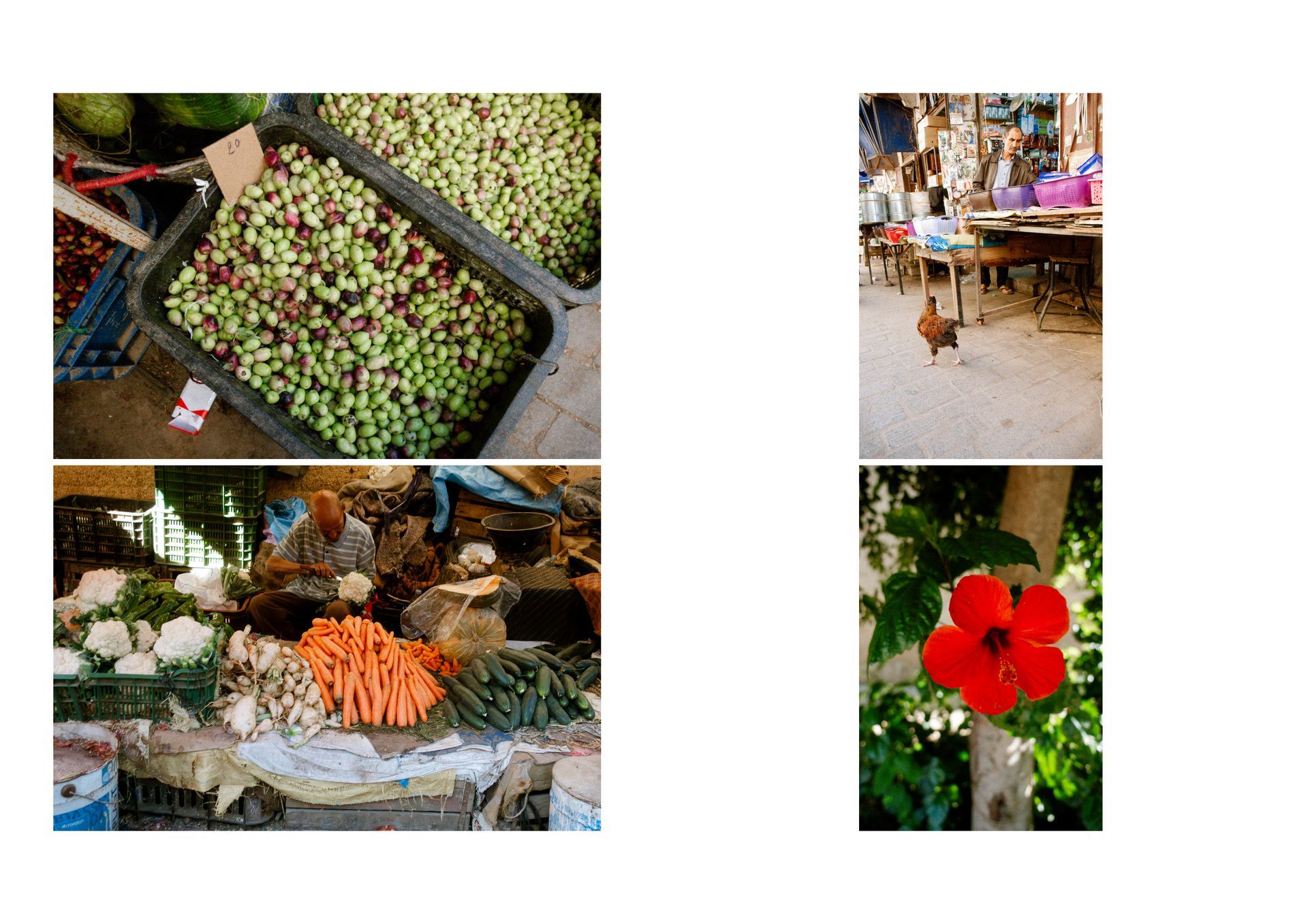 Racconti visivi di strada e quotidianità in Marocco. Fotografia che osserva, ascolta e restituisce emozioni vere.