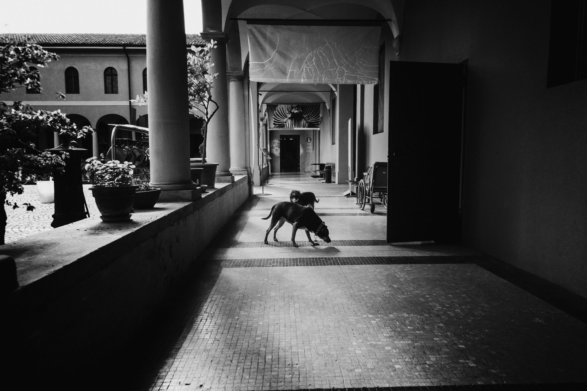 Racconti visivi di strada e quotidianità. Fotografia che osserva, ascolta e restituisce emozioni vere.