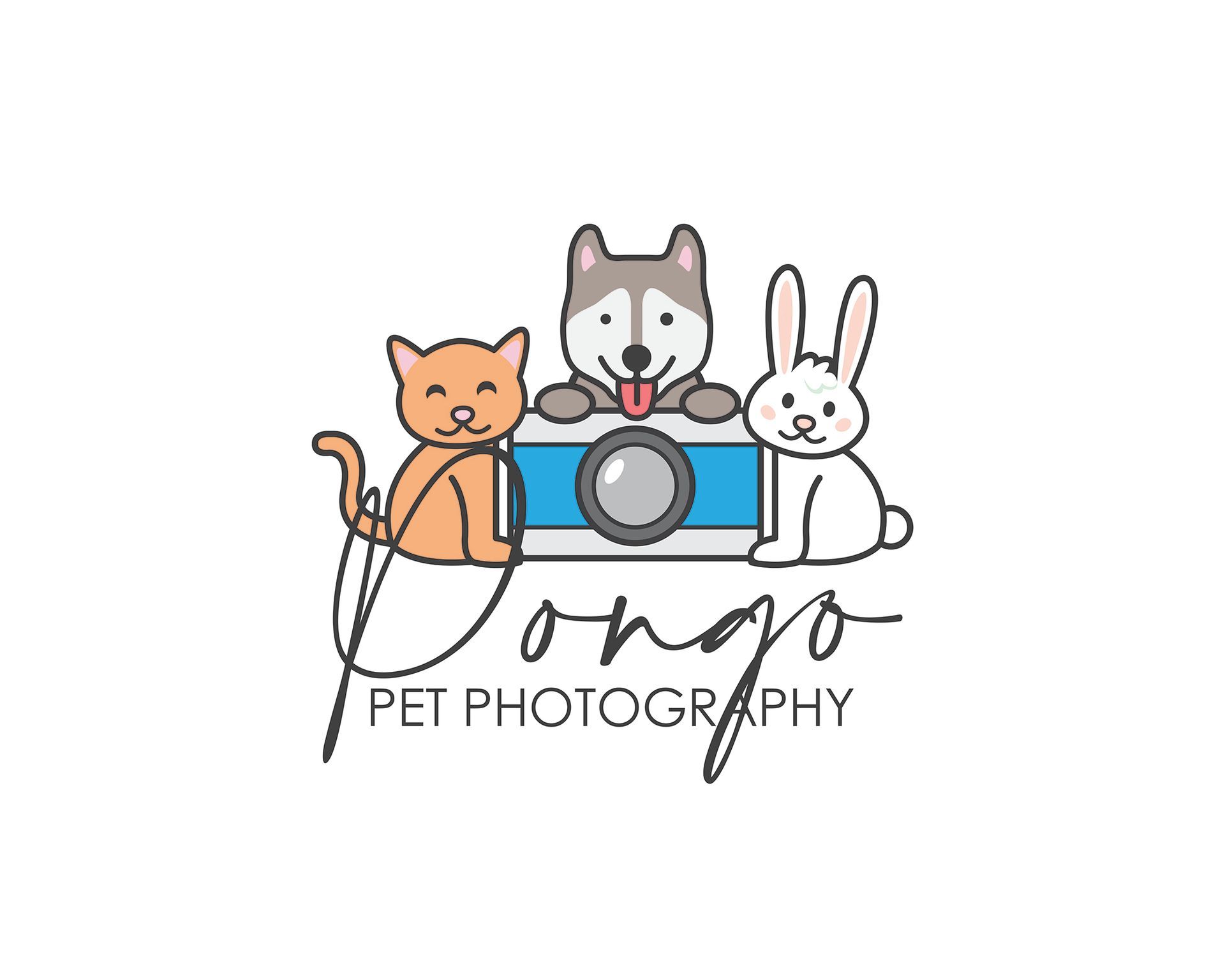 fotografia di cani in studio Modena