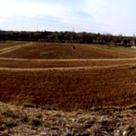 Terreno per fitorisanamento