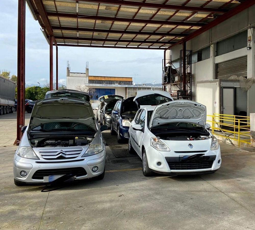 tagliandi auto multimarca