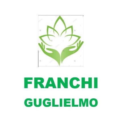 Franchi Guglielmo logo