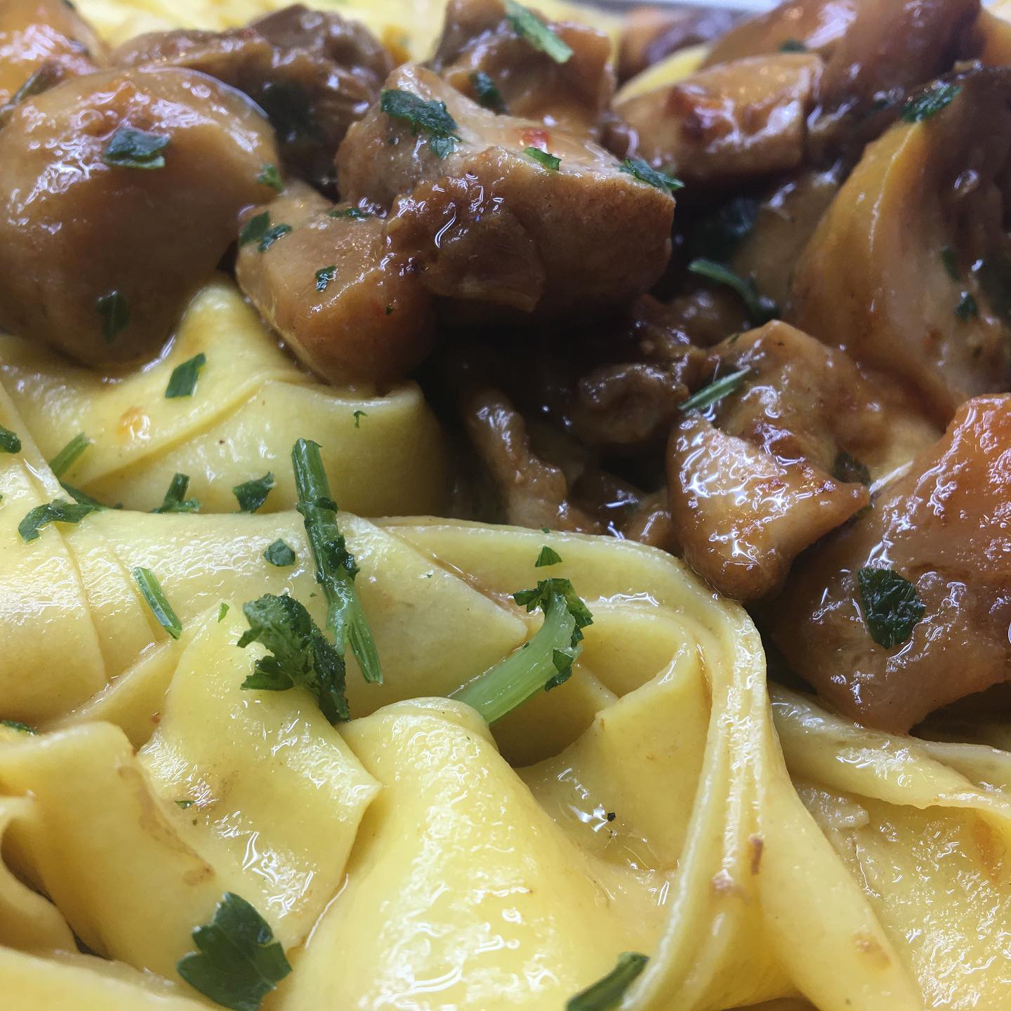 tagliatelle ai funghi