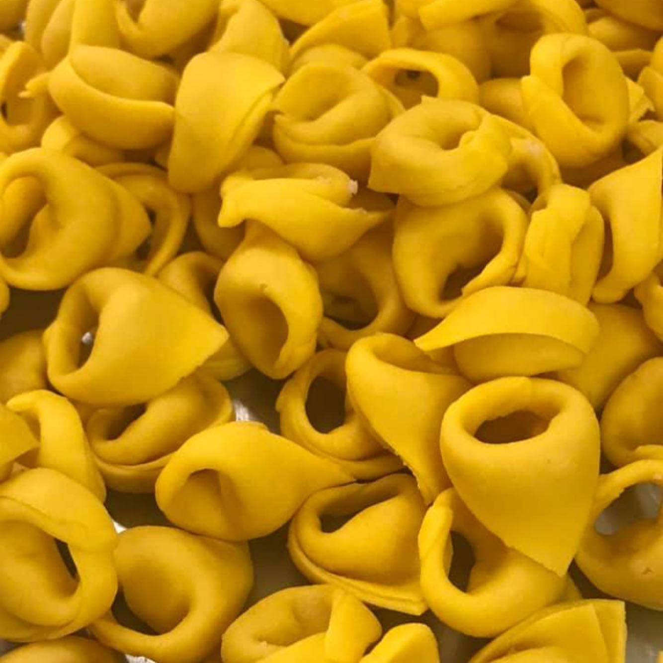 tortelli artigianali