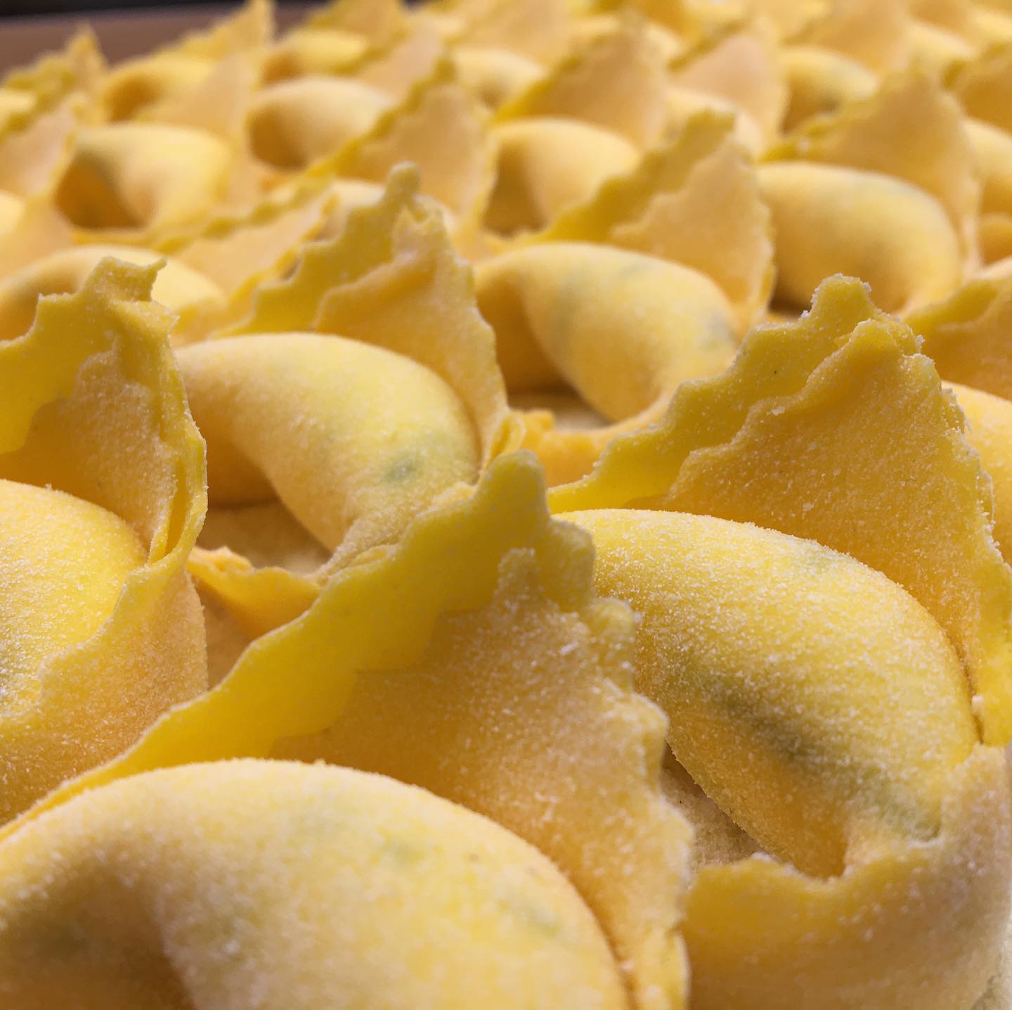 tortellini artigianali della gastronomia