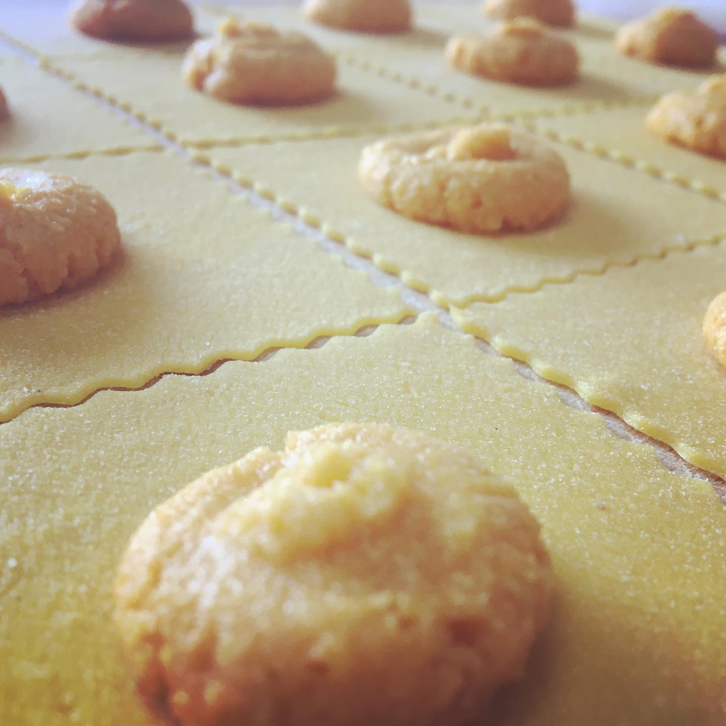 ravioli ripieni fatti a mano