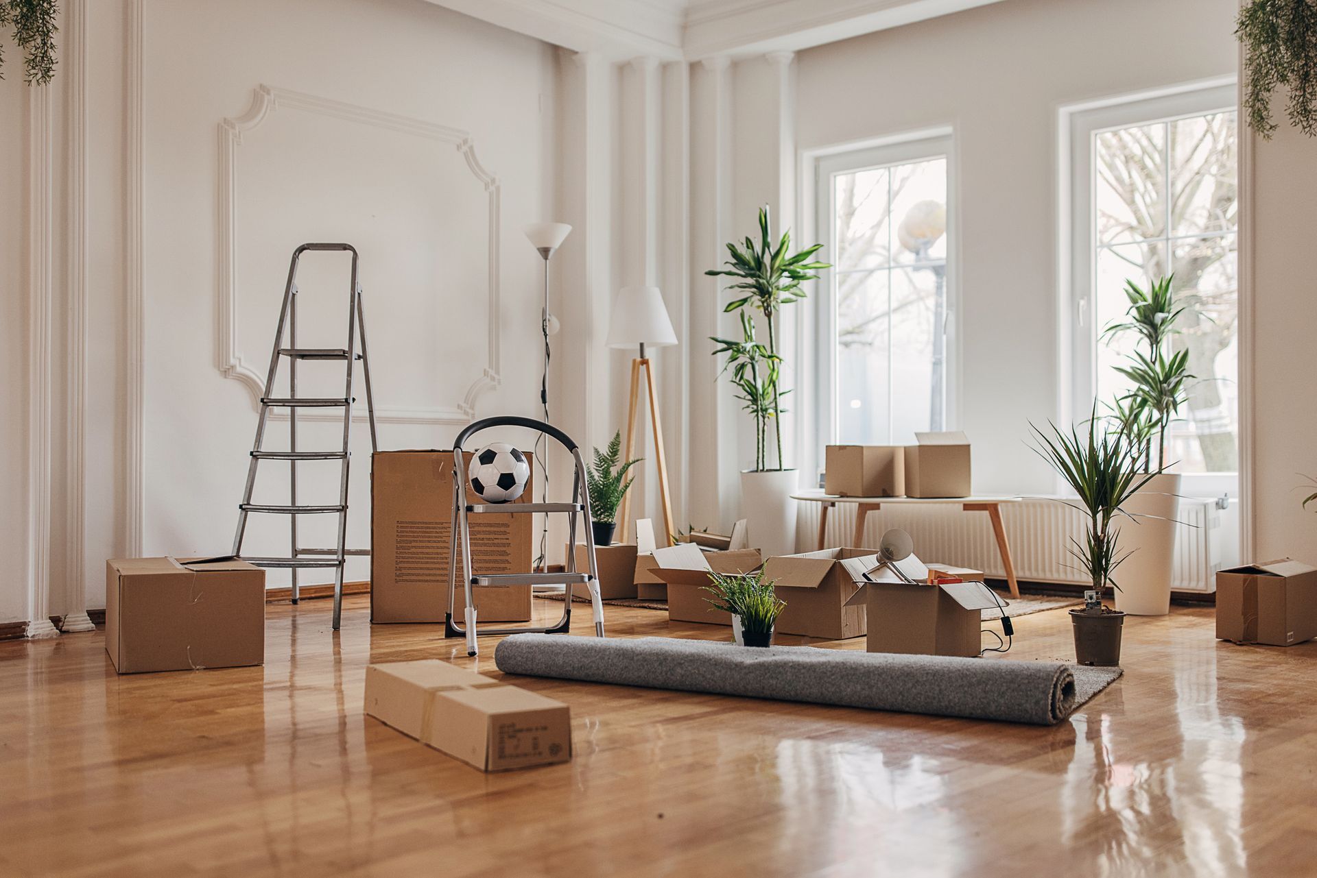 Stanza vuota con scatole di cartone, tappeto arrotolato, piante e una scala, pronta per il trasloco.