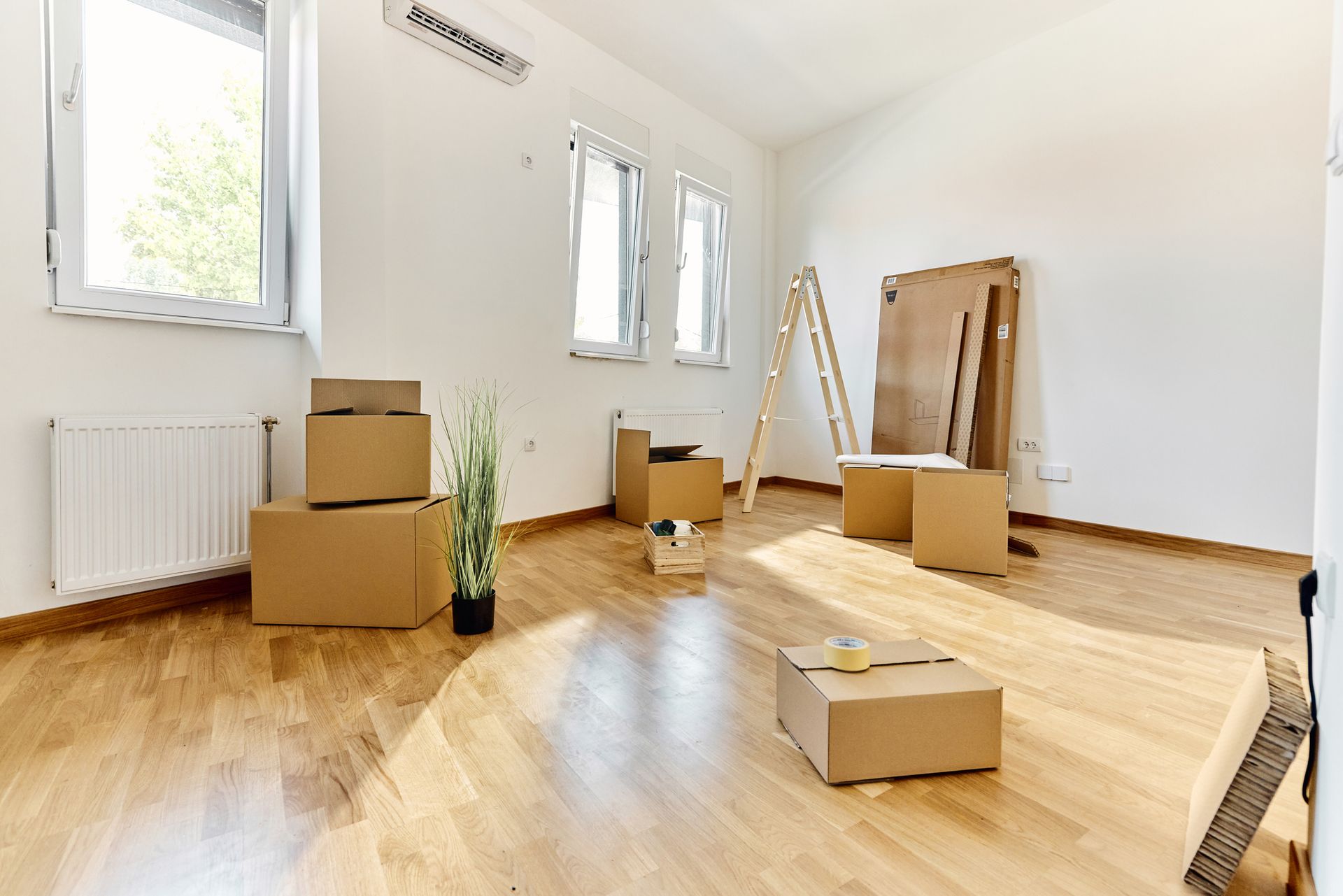 Stanza vuota con scatole di cartone, una scala e una pianta, pronta per essere traslocata.