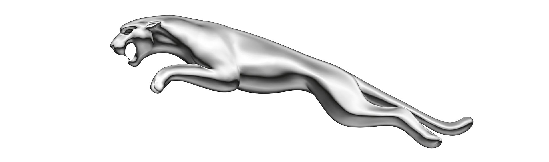 Silver Jaguar leaping, mouth open.
