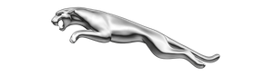 Silver Jaguar leaping, mouth open.