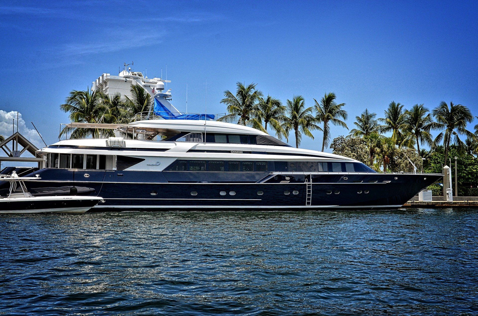 Large, dark blue yacht docked at a harbor with palm trees and blue sky.