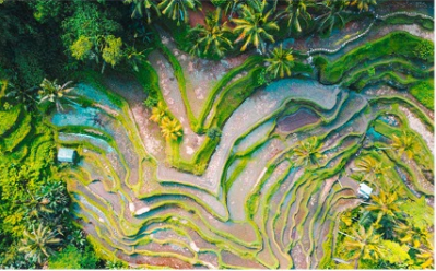 view of abstract art painting