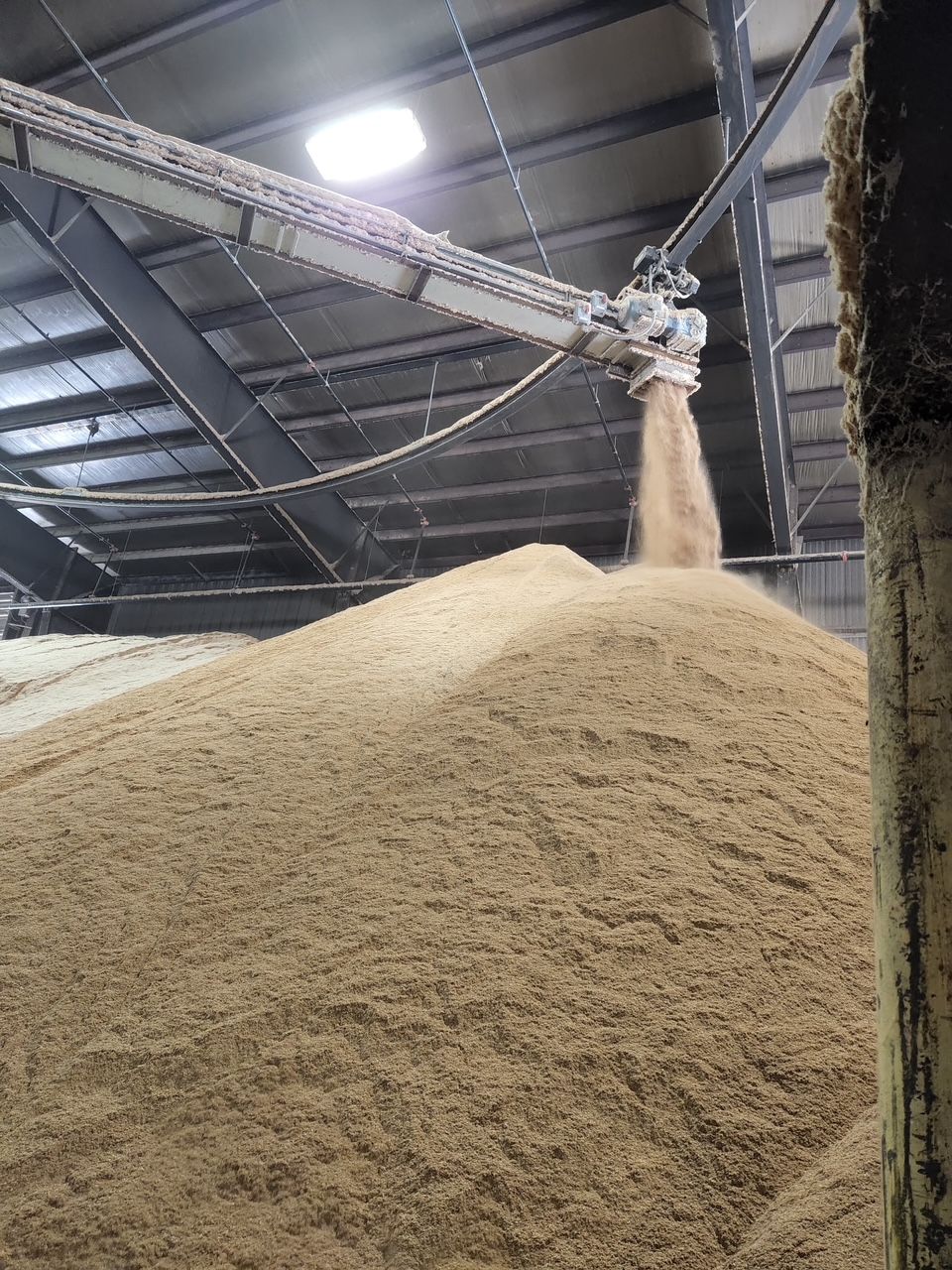 A large pile of feed is being loaded into a conveyor belt. — Monroe Township, NJ — Slammin Canz, Inc.