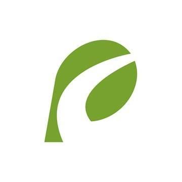 A green leaf with a white stripe on it on a white background.