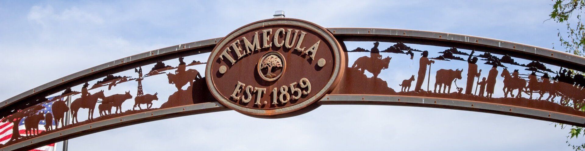 Temecula limousine wine tours Temecula limo wine tour services