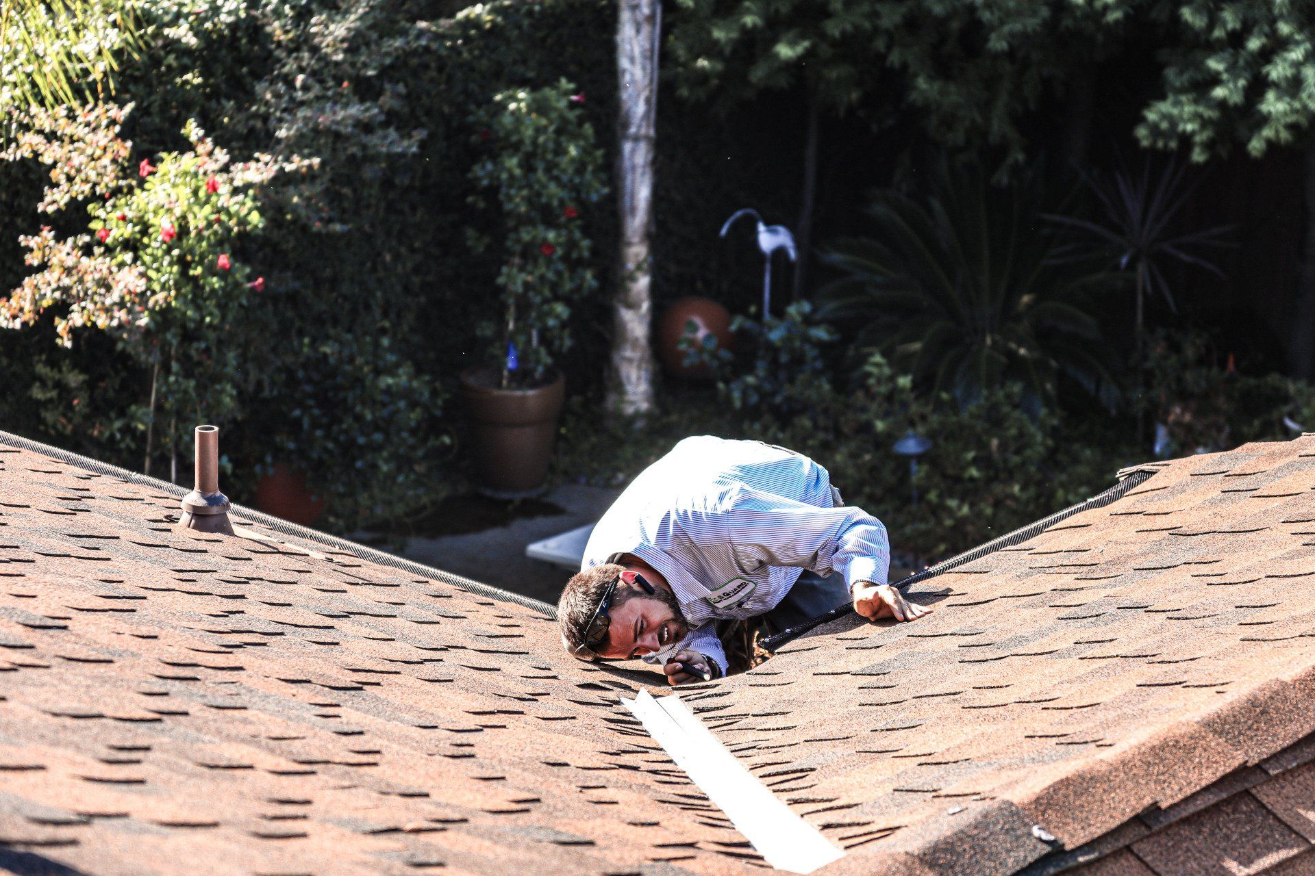 rodent exclusion san diego