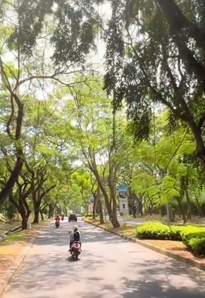 Green Bestari Park Artikel Pendidikan Kesehatan