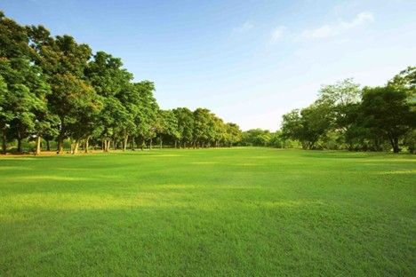 Green Bestari Park Artikel Pendidikan Kesehatan
