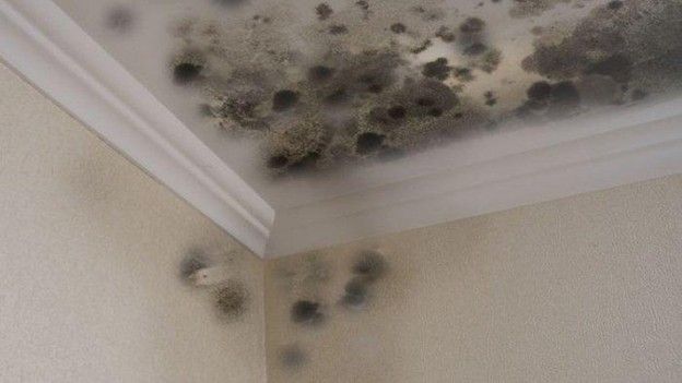 Green Bestari Park Artikel Pendidikan Kesehatan