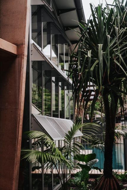 A Building With a Lot of Windows and Palm Trees in Front of It — Architectural Glass Solutions QLD in Cooroy, QLD