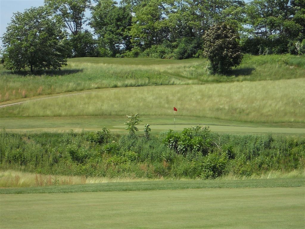 Golf course green with a red flag, surrounded by tall grass and trees.