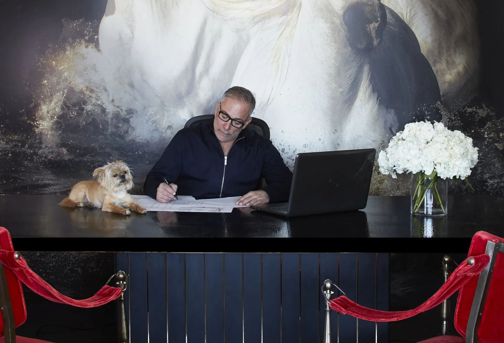 A man is sitting at a desk with a dog and a laptop.