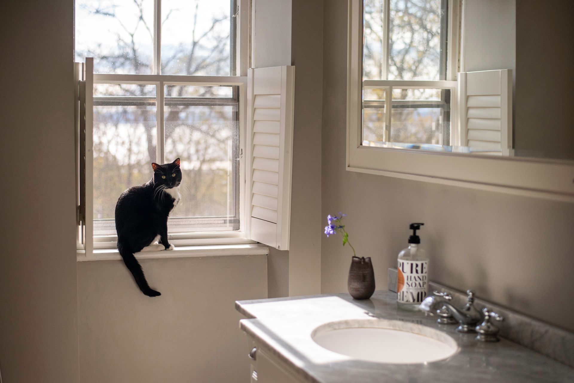 Small shutter for bathroom windows with a black cat sitting on the ledge near a sink