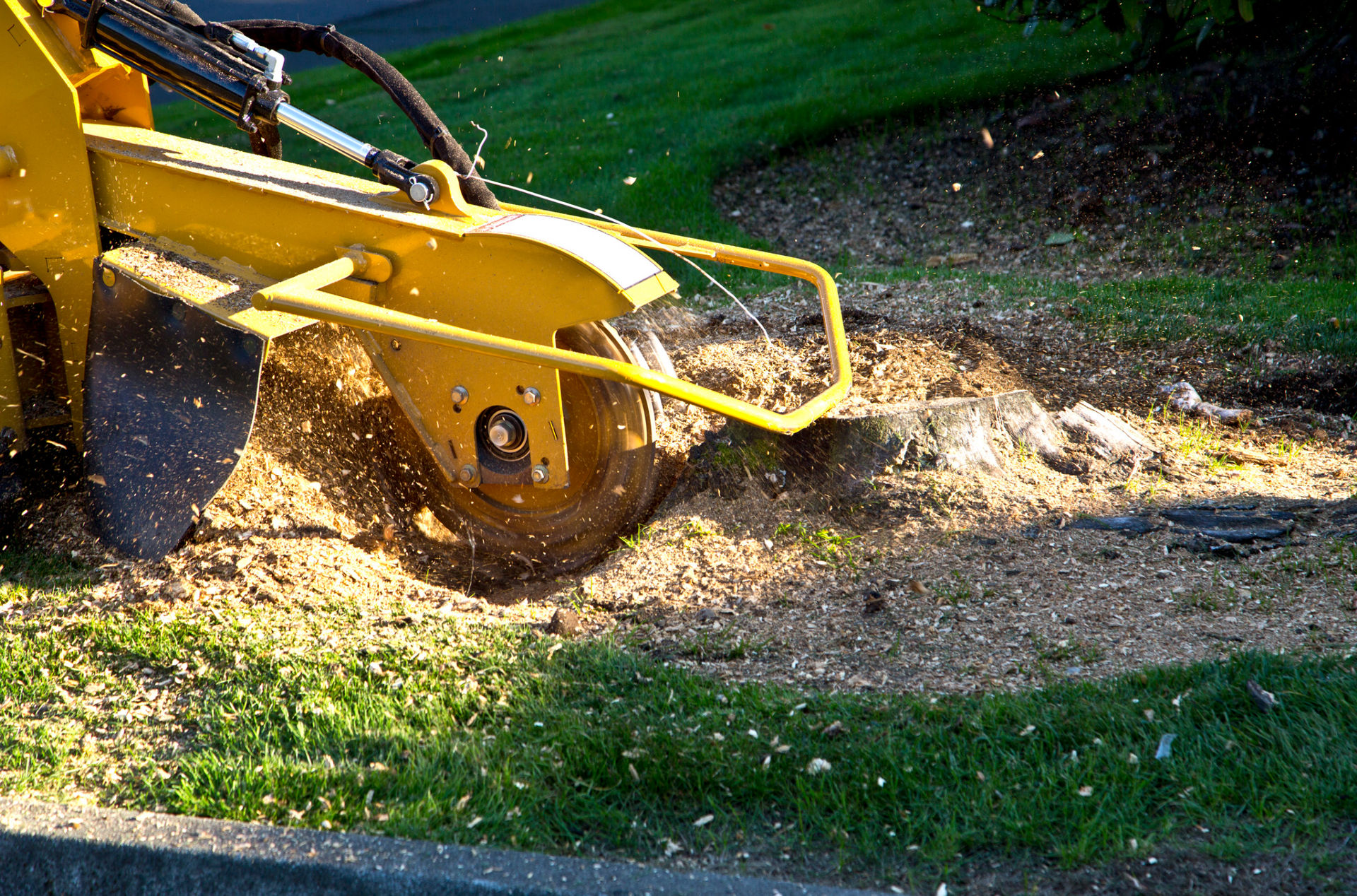 A yellow stump grinder is cutting a tree stump in the grass.