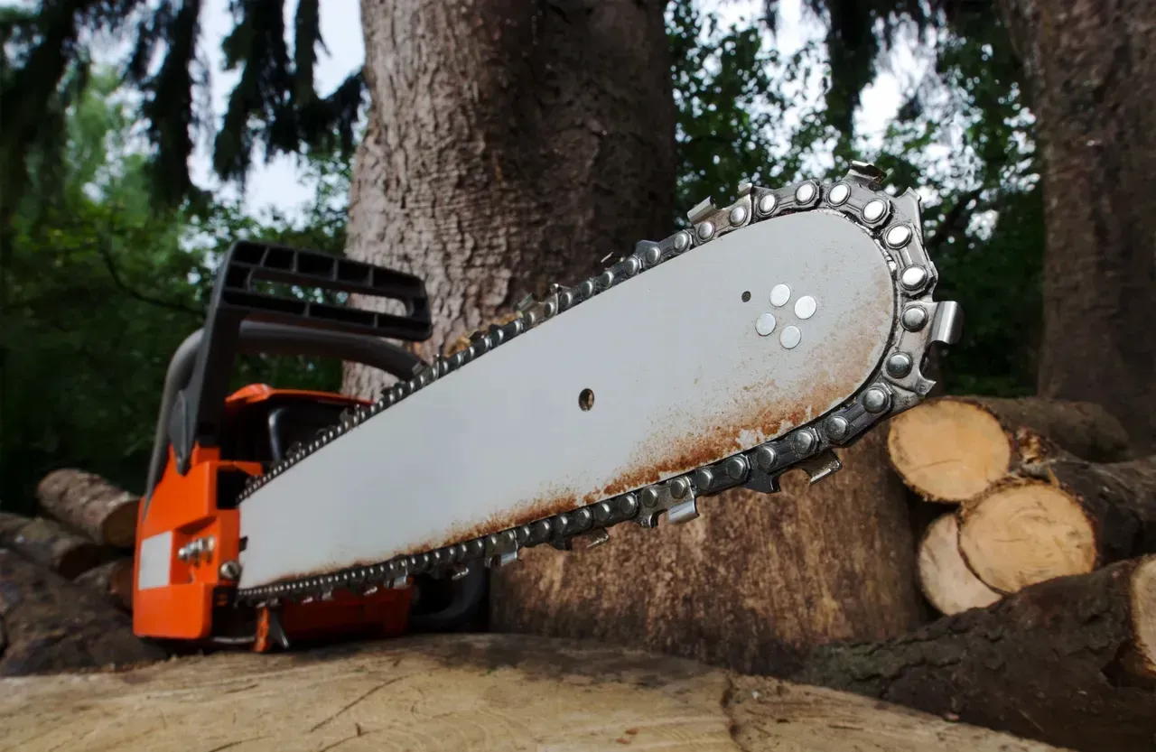 A chainsaw is sitting on a log next to a tree.