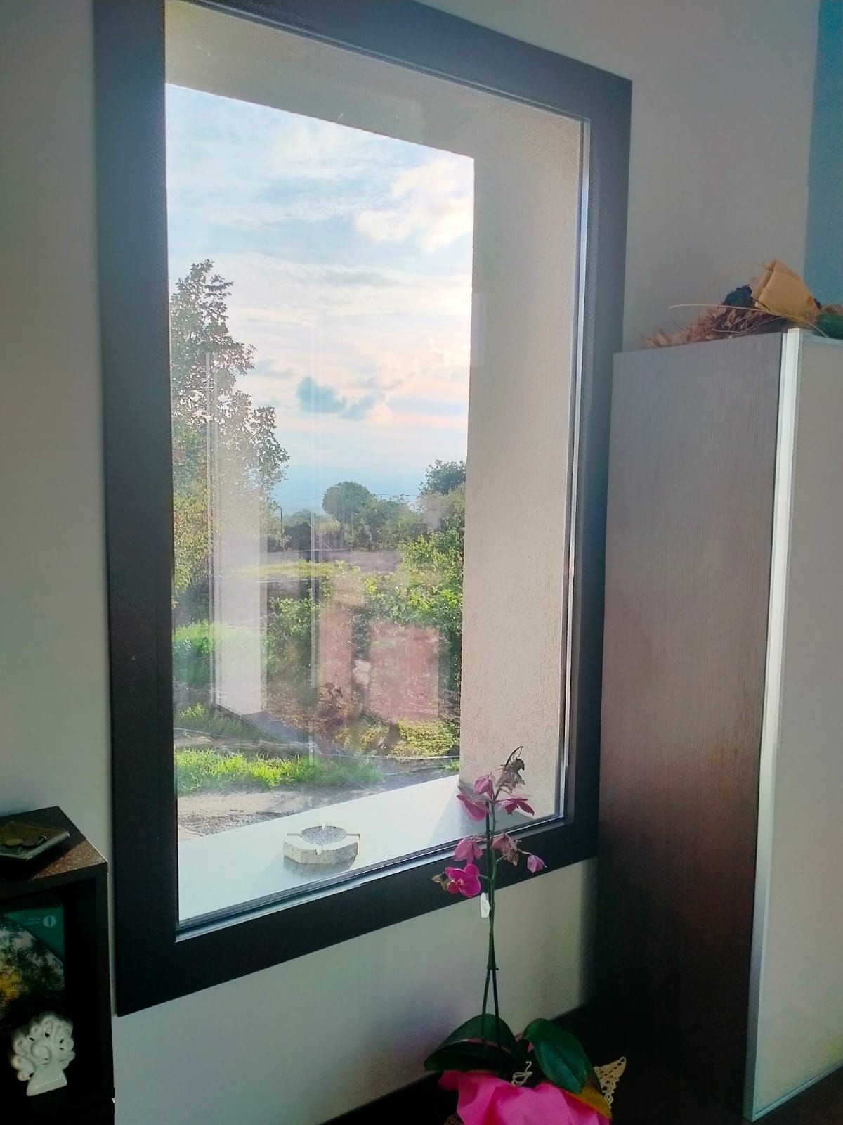 Una grande finestra in una stanza con una pianta di fronte.