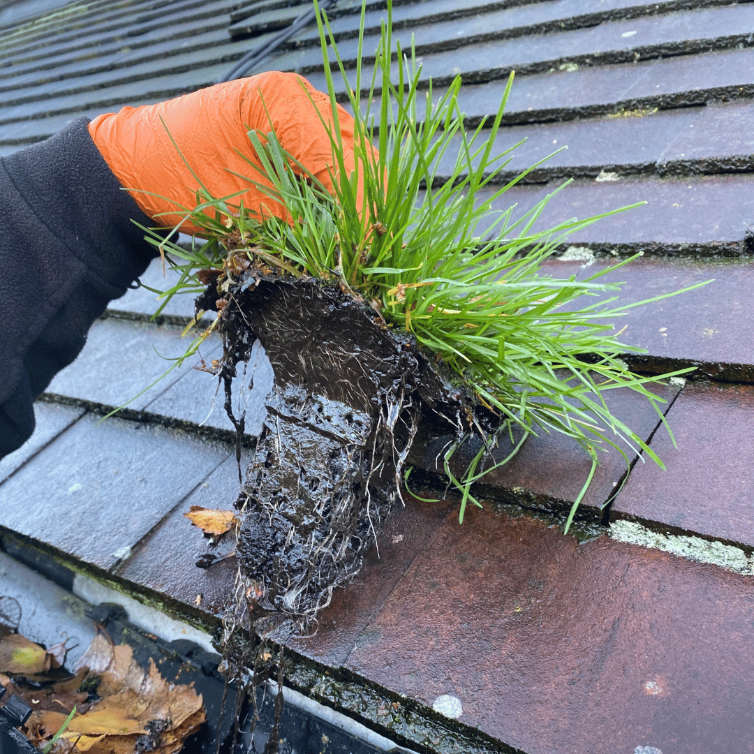 Gutter Cleaning in Warwick and Leamington Spa