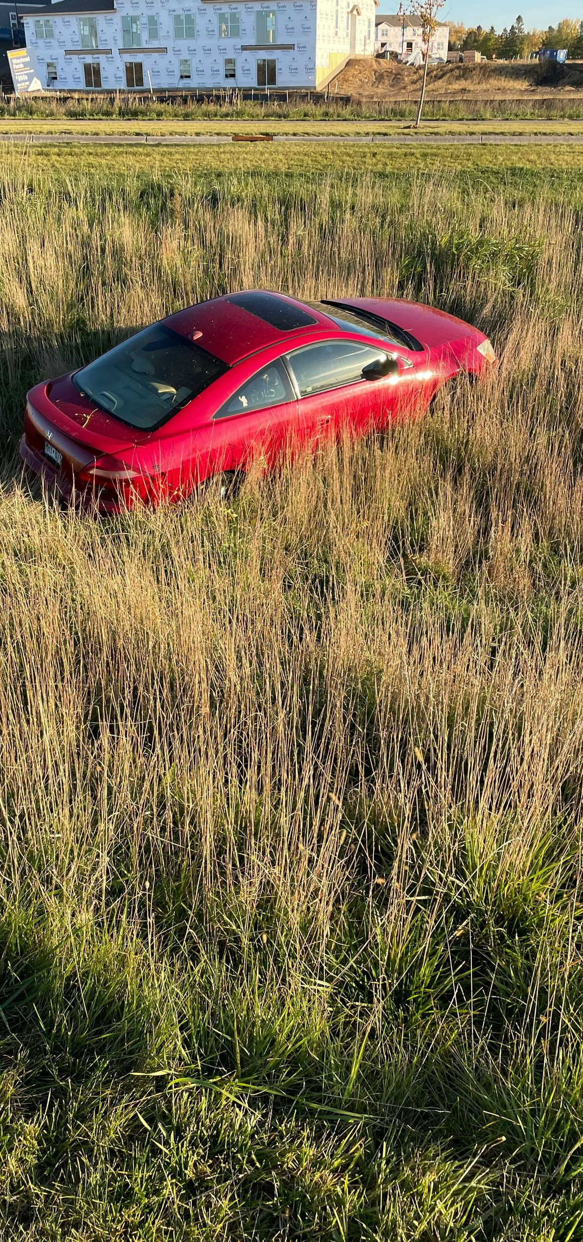 A red two-door car driven into a field of tall, dry grass in front of a white building.