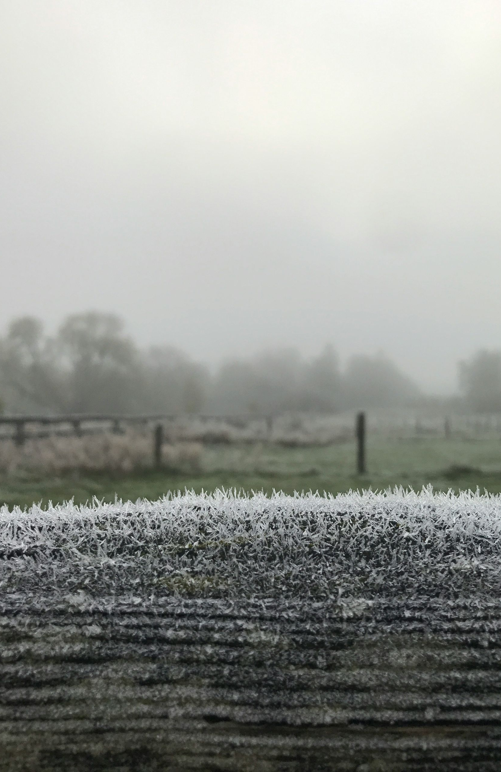 Frosty fence in a foggy field with trees in the background. Overcast, winter landscape.