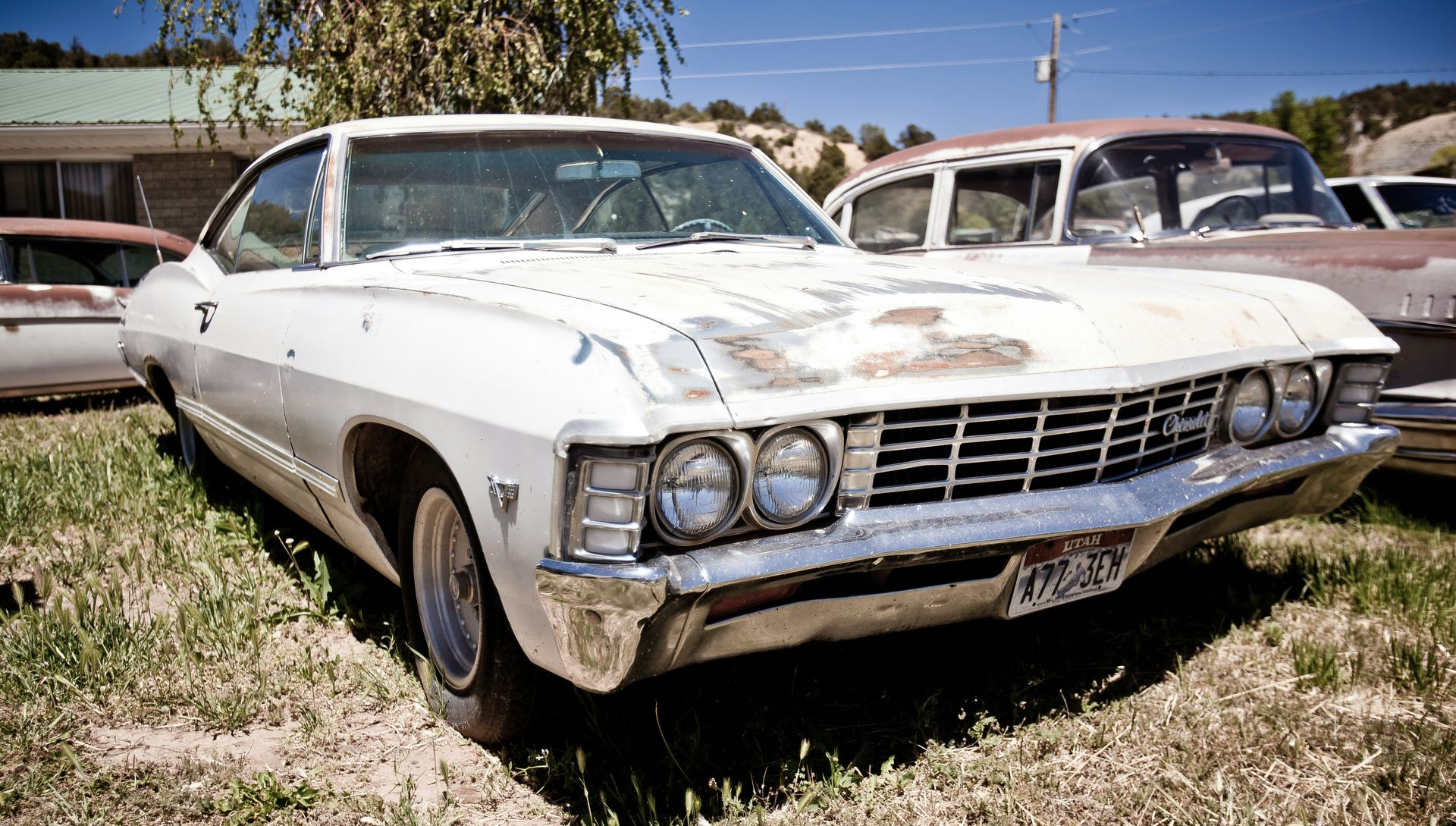 White classic car with rust, in a grassy lot; other old cars visible in background.